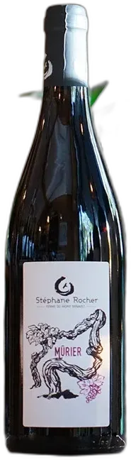 vue du vin Mûrier