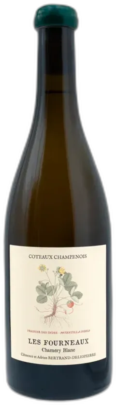 vue du vin Bertrand-Delespierre les Fourneaux