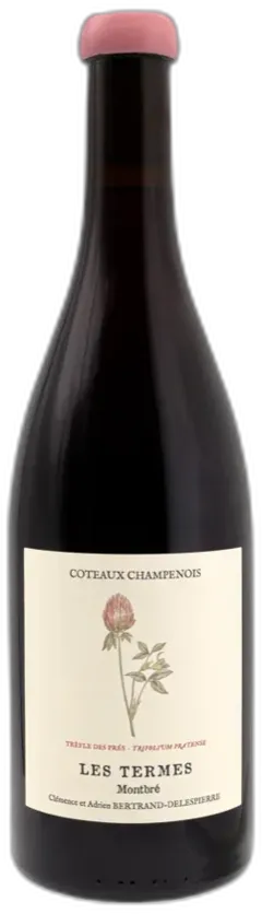 image du vin les Termes