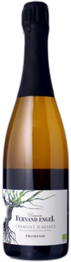 photos du vin Fernand Engel d’Alsace Rosé
