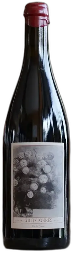 vue du vin Nuits Noires - Clos Bateau