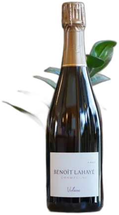 capture du vin Violaine