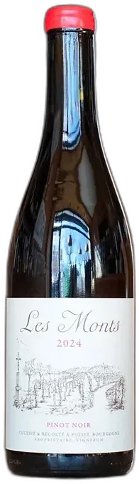vue du vin Les Crucibées
