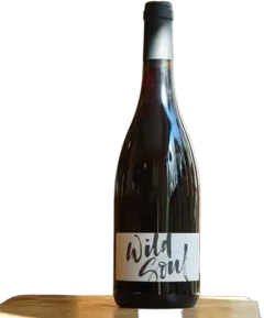 image du vin Beaujolais Villages Wild Soul Domaine Julien Sunier