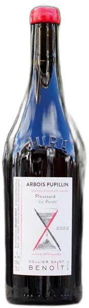 vue du vin Ploussard Côte de Feule