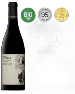 image du vin Pinot Noir