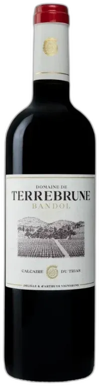 vue du vin Domaine de Terrebrune