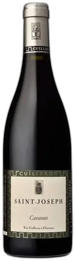 vue du vin Yves Cuilleron Saint Joseph Cavanos