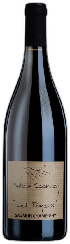 image du vin Domaine Antoine Sanzay "les Poyeux" Saumur Champigny Rouge Saumur-Champigny Bio