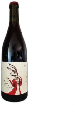 vue du vin Beaujolais Ext’Hase