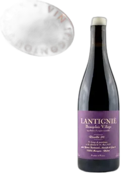 photo du vin Yann Bertrand, Beaujolais Villages Lantignie