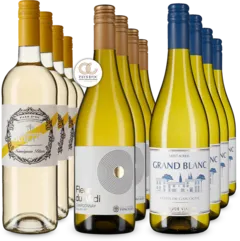 illustration du vin Château "de France" Pessac-Leognan Blanc Pessac-Léognan