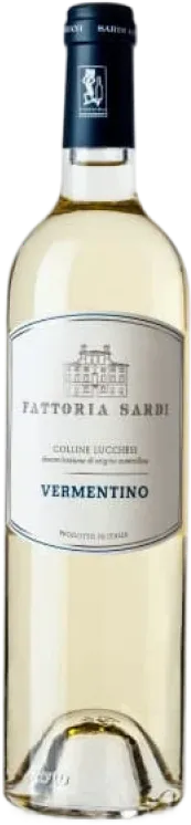 vue du vin Vermentino Colline Lucchesi