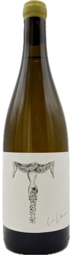 capture du vin Verónica Ortega la Llorona