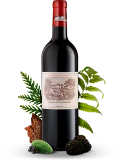 image du vin Château Lafite Rothschild