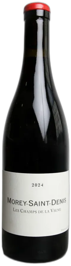 photo du vin Morey Saint Denis les Champs de la Vigne Qvevris Rouge