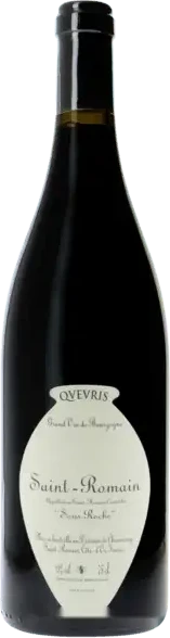 photo Domaine de Chassorney Saint Romain Rge Sous Roche Qvevris Rouge Rouge 2020 un Grand Vin de Saint Romain Rge Sous Roche Qvevris