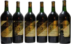vue du vin Château Latour Martillac