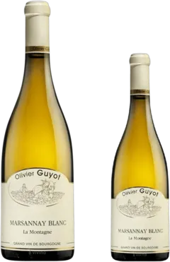 image du vin Marsannay "la Montagne"