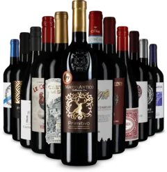 illustration du vin Château Rouget