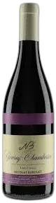 vue du vin Gevrey-Chambertin "les Crais"
