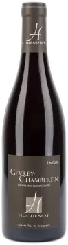 vue du vin Gevrey-Chambertin "les Crais"