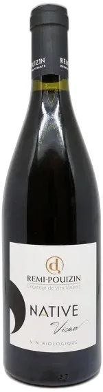 vue du vin Remi Pouizin Native 2021