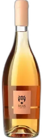 aperçu du vin Cartoixa de Vinyes Velles Tanca Els Uls