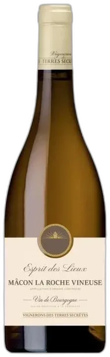 vue du vin Vignerons des Terres Secrètes