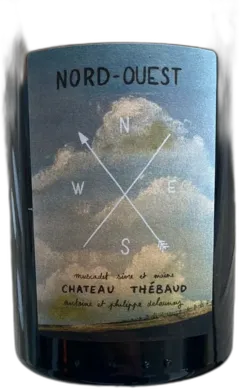 vue du vin Château-Thebaud