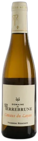 vue du vin Domaine de Terrebrune