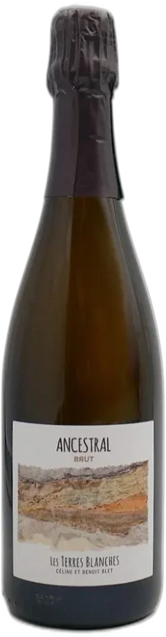 image du vin Ancestral Brut 2022