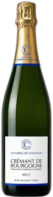 vue du vin Bourgogne en Victorine de Chastenay