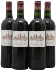 photo du vin Pagodes de Cos