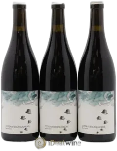 photo du vin Coteaux Bourguignons Mon Poulain les Horées