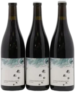 photo du vin Coteaux Bourguignons Mon Poulain les Horées