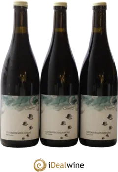 photo du vin Coteaux Bourguignons Mon Poulain les Horées
