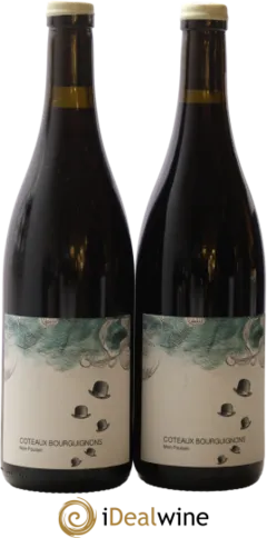 photo du vin Coteaux Bourguignons Mon Poulain les Horées