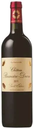 vue du vin Château Branaire Ducru 2010