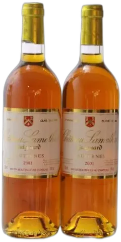 photo du vin Château Lamothe Guignard