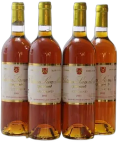 photo du vin Château Lamothe Guignard