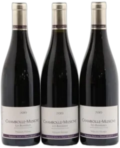 illustration du vin les Bussières Vieilles Vignes