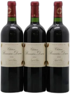 vue du vin Château Branaire Ducru 2010