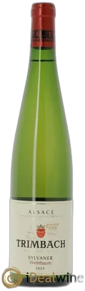 image du vin Sylvaner Weinbaum