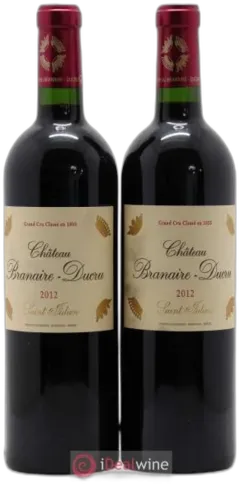 vue du vin Château Branaire Ducru 2010