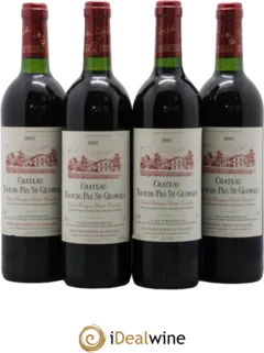 vue du vin Château Tour du Pas st Georges