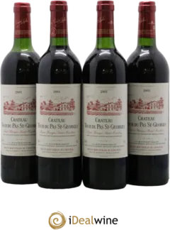 vue du vin Château Tour du Pas st Georges