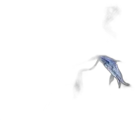 illustration du vin Thé Noir Jardin Bleu Vrac Sachet de 100gr Dammann