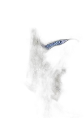 image du vin Thé Vert Jardin Vert Vrac Sachet de 100gr Dammann