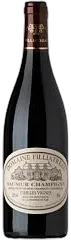 photo Aop Saumur-Champigny Domaine Filliatreau Magnum